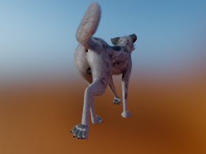 Kovu Wolf 3D Model
