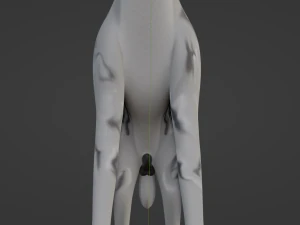 Kovu Wolf 3D Model