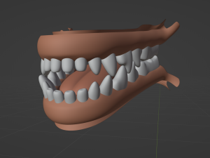 Kovu Wolf 3D Model