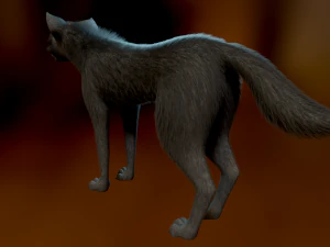 Noah Wolf 3D Model