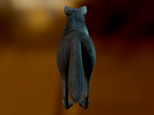 Noah Wolf 3D Model