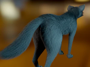 Noah Wolf 3D Model