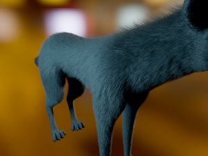Noah Wolf Model 3D