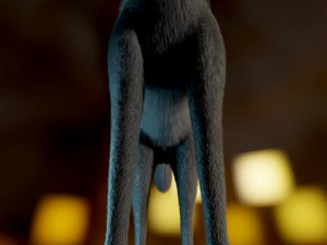 Noah Wolf 3D Model