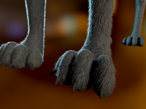 Noah Wolf Model 3D