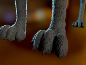 Noah Wolf 3D Model