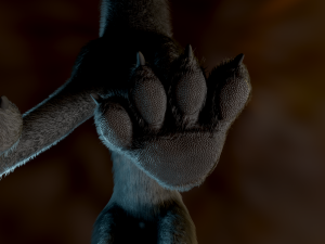 Noah Wolf Model 3D