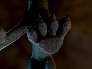 Noah Wolf 3D Model