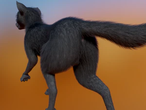 Noah Wolf 3D Model