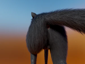 Noah Wolf 3D Model