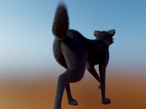 Noah Wolf 3D Model