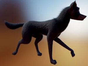 Noah Wolf 3D Model