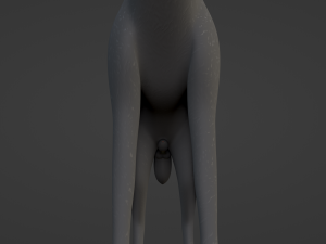 Noah Wolf Model 3D