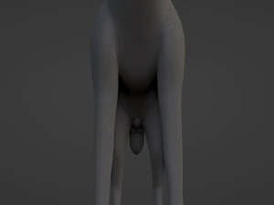 Noah Wolf 3D Model