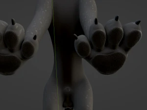 Noah Wolf 3D Model