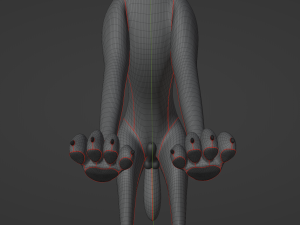 Noah Wolf Model 3D