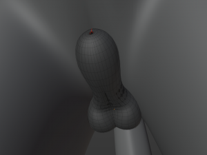 Noah Wolf Model 3D