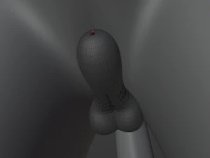 Noah Wolf 3D Model
