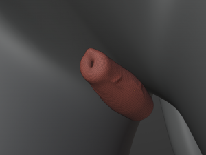 Noah Wolf Model 3D