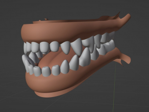Noah Wolf Model 3D