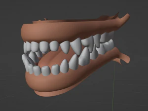 Noah Wolf 3D Model