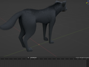 Noah Wolf Model 3D