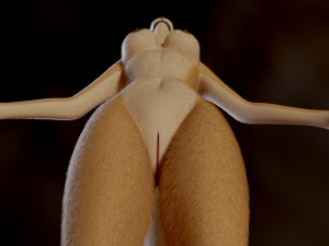 Mayala Anthro Lioness Modelo 3D
