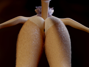 Mayala Anthro Lioness Modelo 3D