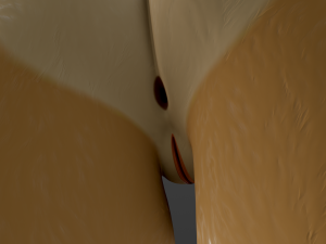 Mayala Anthro Lioness Modelo 3D