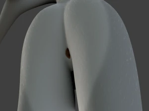 Koda Anthro Lupo Modello 3D