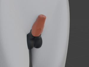 Koda Anthro Wolf 3D Модель
