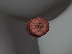 Koda Anthro Lupo Modello 3D