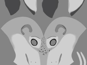 Koda Anthro Wolf 3D Модель