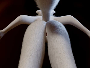 Victor Anthro Wolf 3D Model