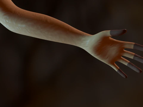 Nicole Anthro Deer 3D Model