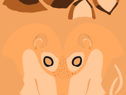 Junie Anthro Fox 3D Model