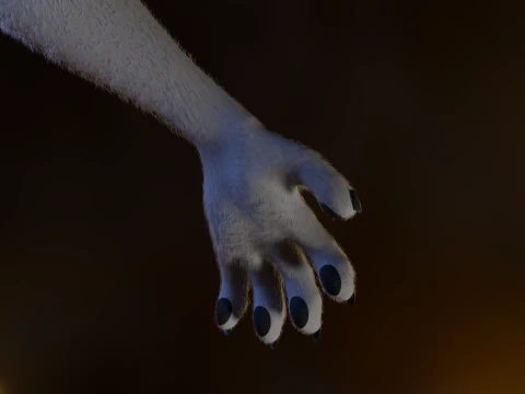 Kovu Anthro Wolf 3D Model