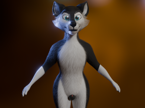 Thomas Anthro Husky 3D Model