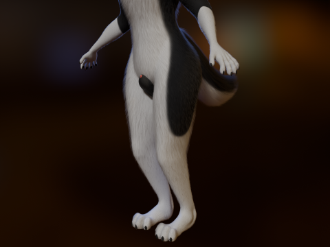 Thomas Anthro Husky 3D Model