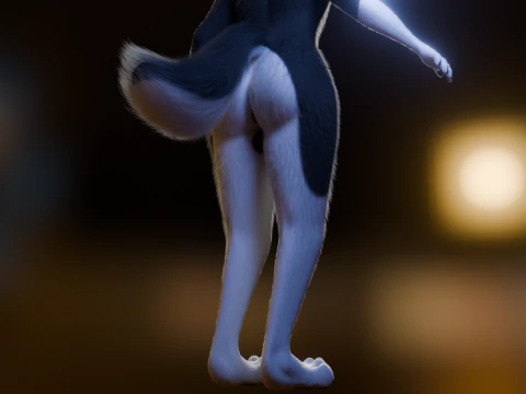 Thomas Anthro Husky 3D Model