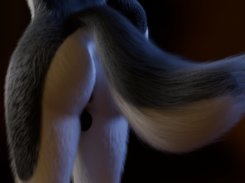 Thomas Anthro Husky 3D Model