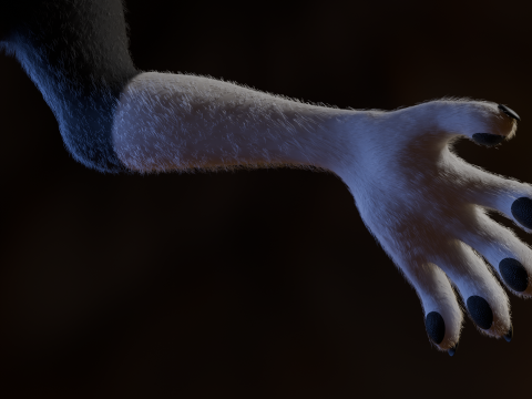 Thomas Anthro Husky 3D Model