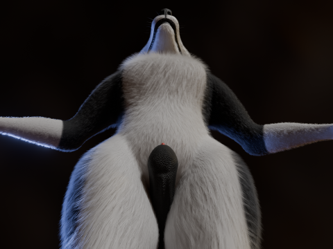 Thomas Anthro Husky 3D Model