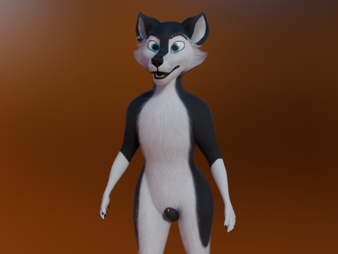 Thomas Anthro Husky 3D Model