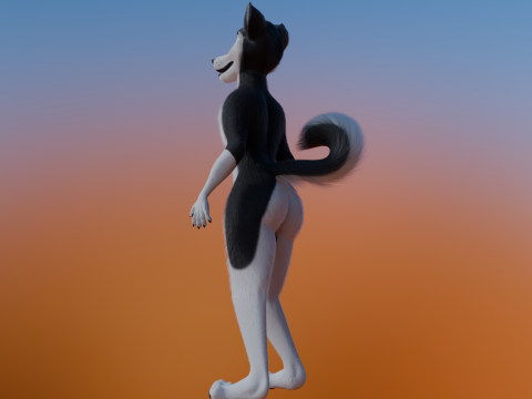 Thomas Anthro Husky 3D Model