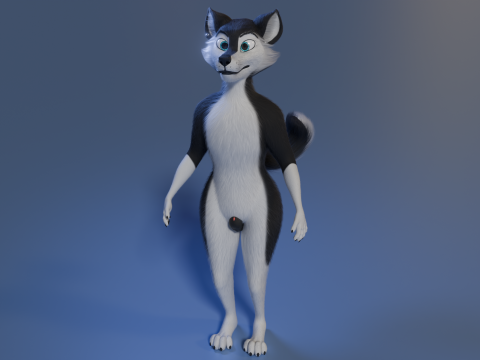 Thomas Anthro Husky 3D Model