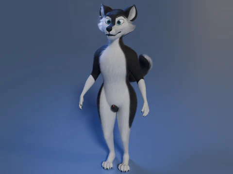 Thomas Anthro Husky 3D Model