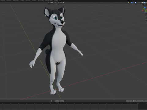Thomas Anthro Husky 3D Model