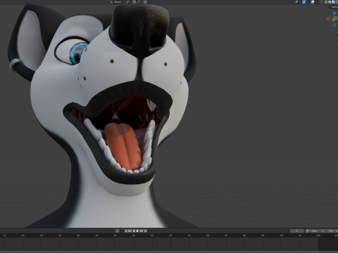 Thomas Anthro Husky 3D Model