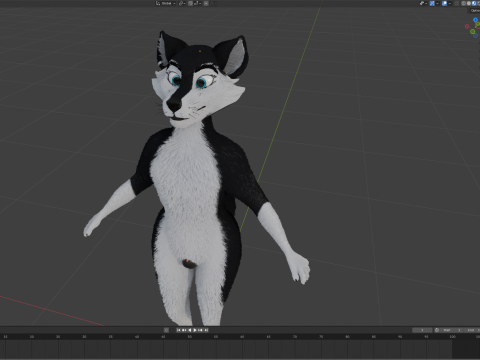 Thomas Anthro Husky 3D Model